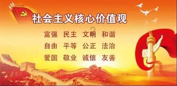救援袋鼬